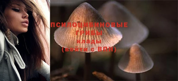 PSILOCYBIN Абаза
