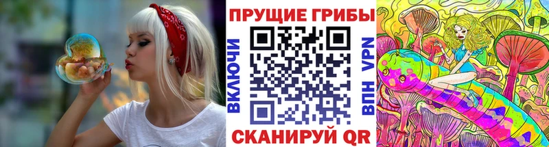 купить наркотик  Алдан  Псилоцибиновые грибы MAGIC MUSHROOMS 